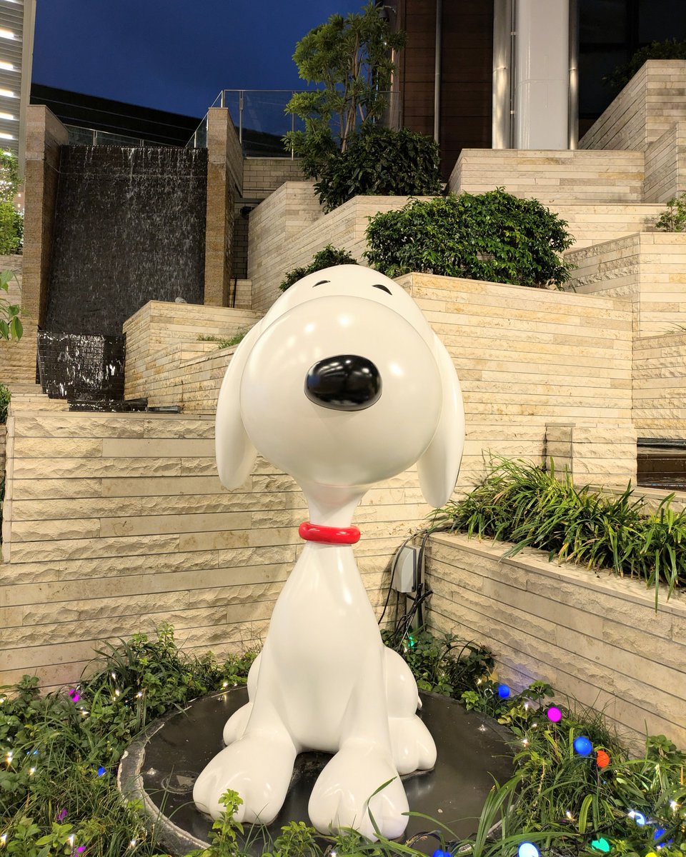 レモン100個分 (@Umz8XjEPeQSTrVY) / Posts / X