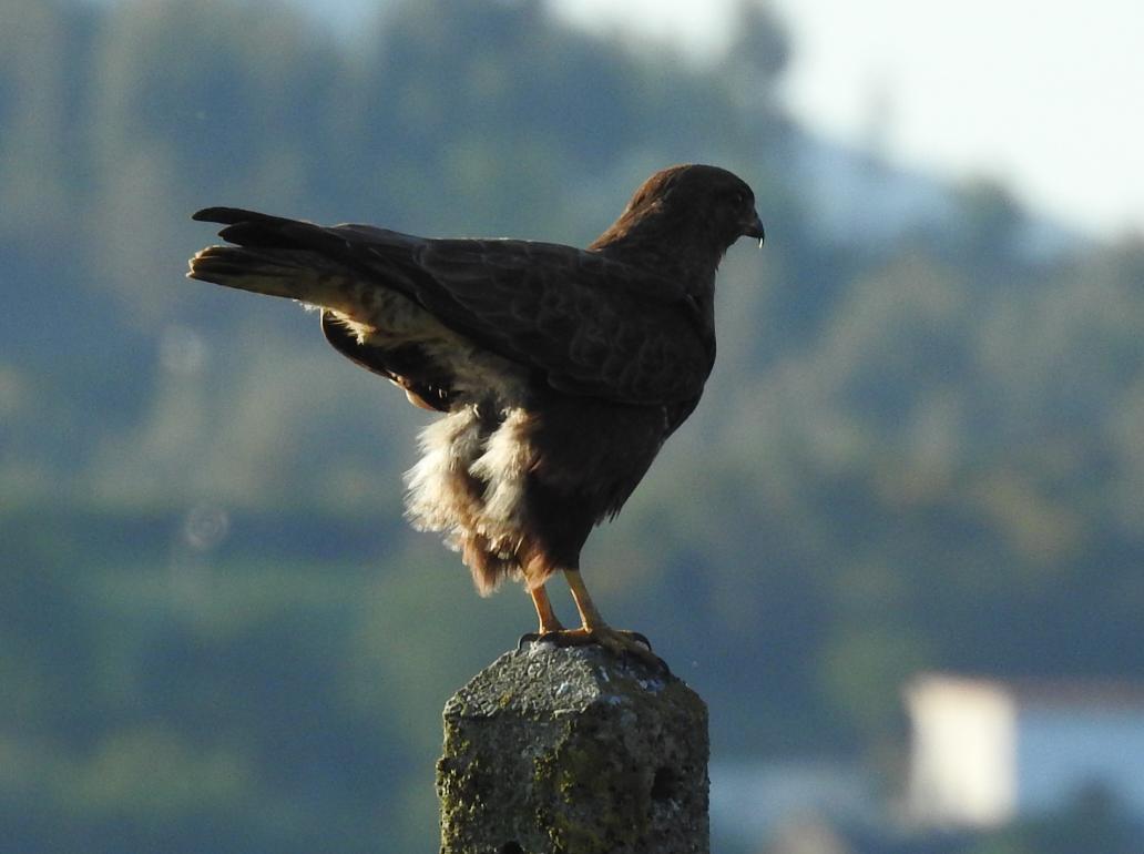 J@a.p (@jose_ap19) on Twitter photo 