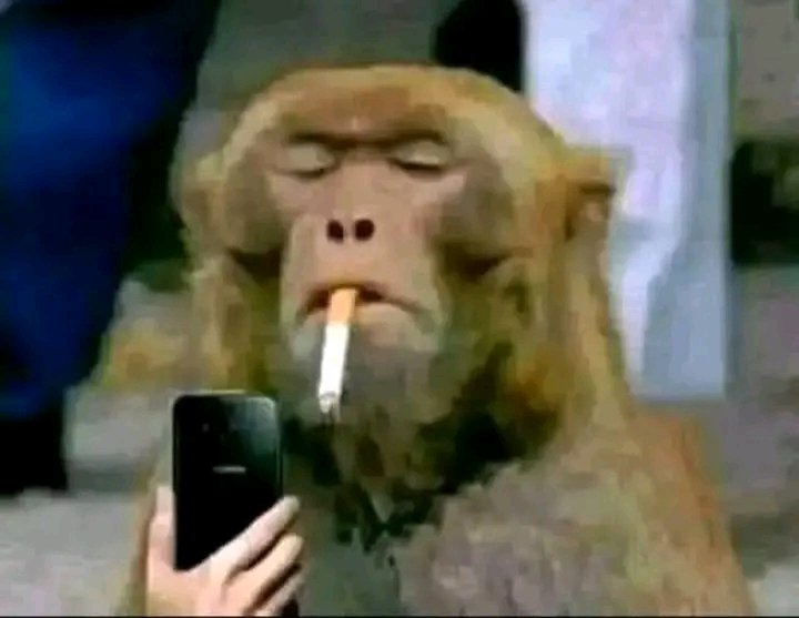 Heleee,Brown Mogotsi is dropping bombs I'm afraid. Moer