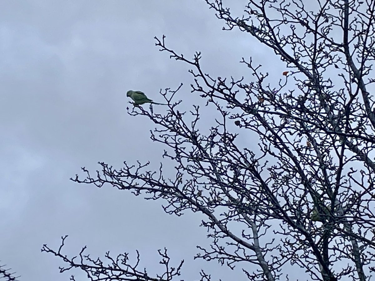 “Morning without you is a dwindled dawn.”

~ Emily Dickinson, Letters