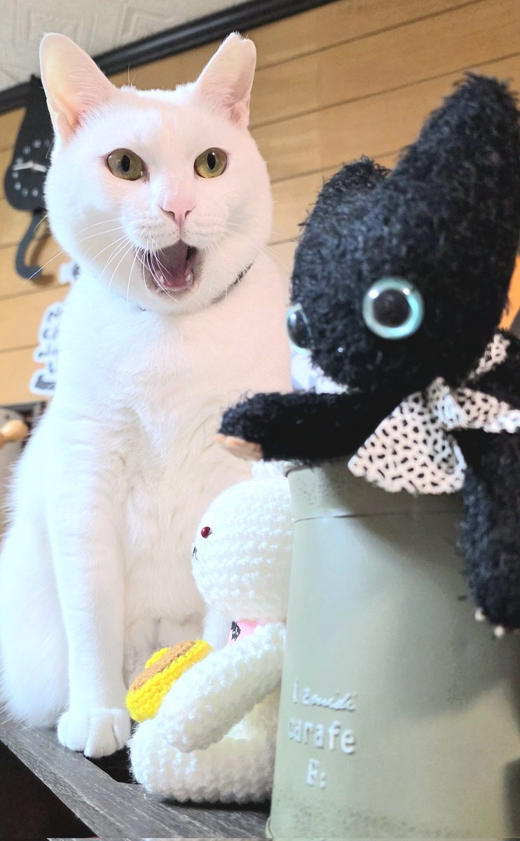 ハイツくろねこ🐈‍⬛🐾 (@haitsukuroneko) / Posts / X