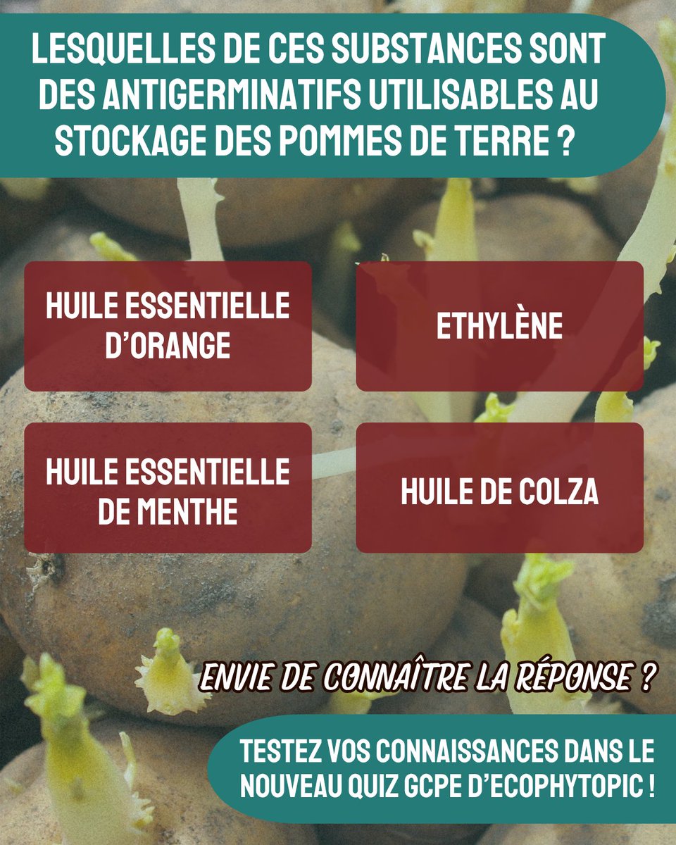 Le nouveau quiz Grandes Cultures - Polyculture Elevage, c'est par ici ! ➡️ app.experquiz.com/xq/quiz_dossie…