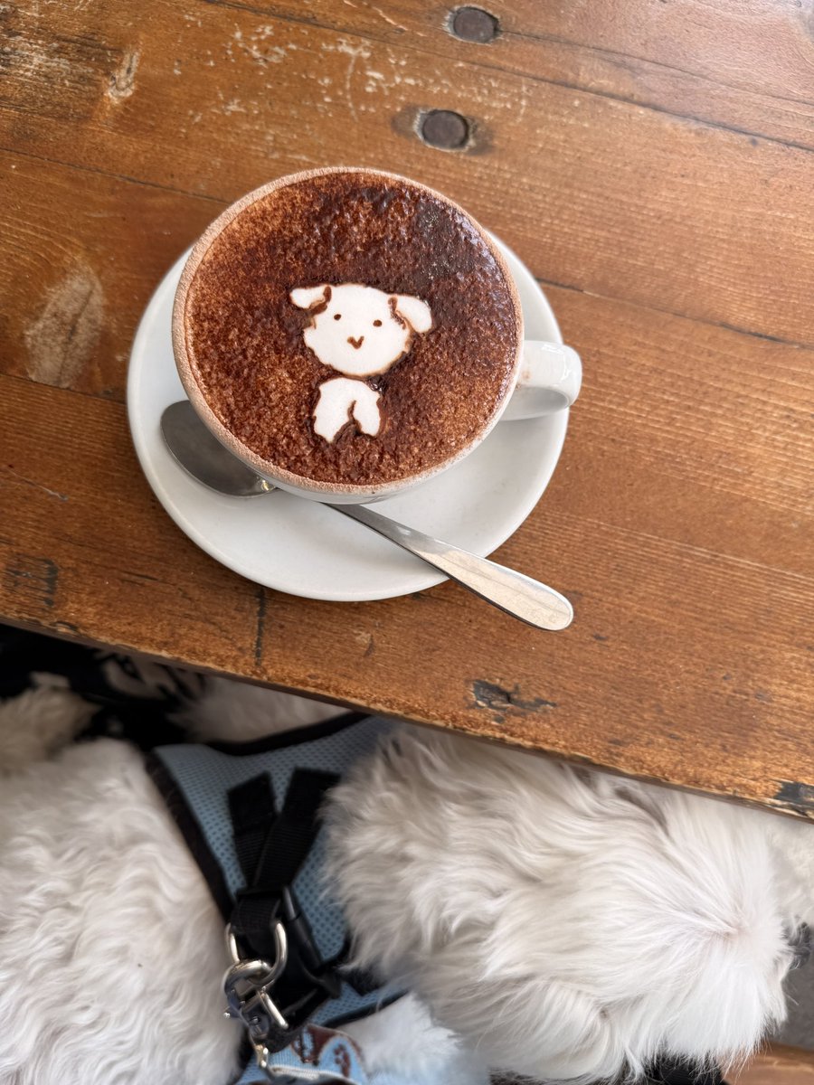 初めて行ったカフェ☕️
プリンスをラテアートにしてくれた🩷

#ラテアート #nz  #マルチーズ