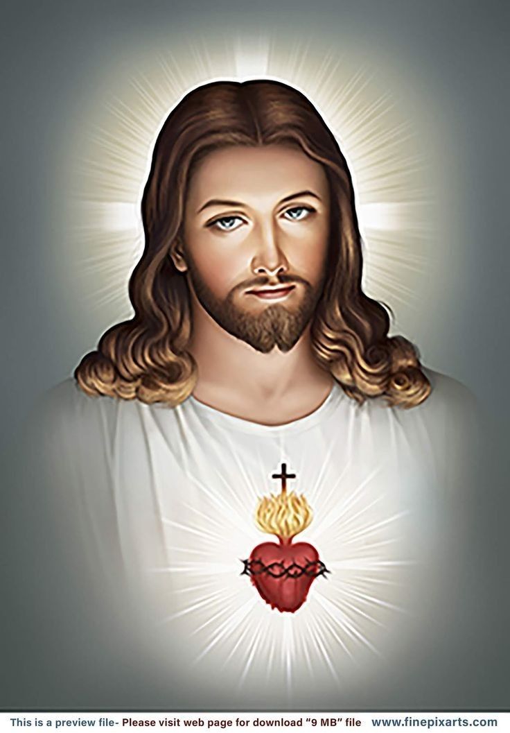 CatholicQuote12's tweet image. Jesus I trust in you