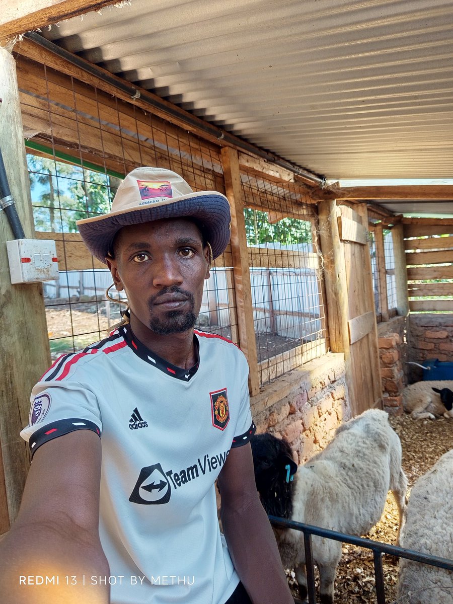 King_Mutaih's tweet image. Mambo iko namna gani.
Your shepherd at work.