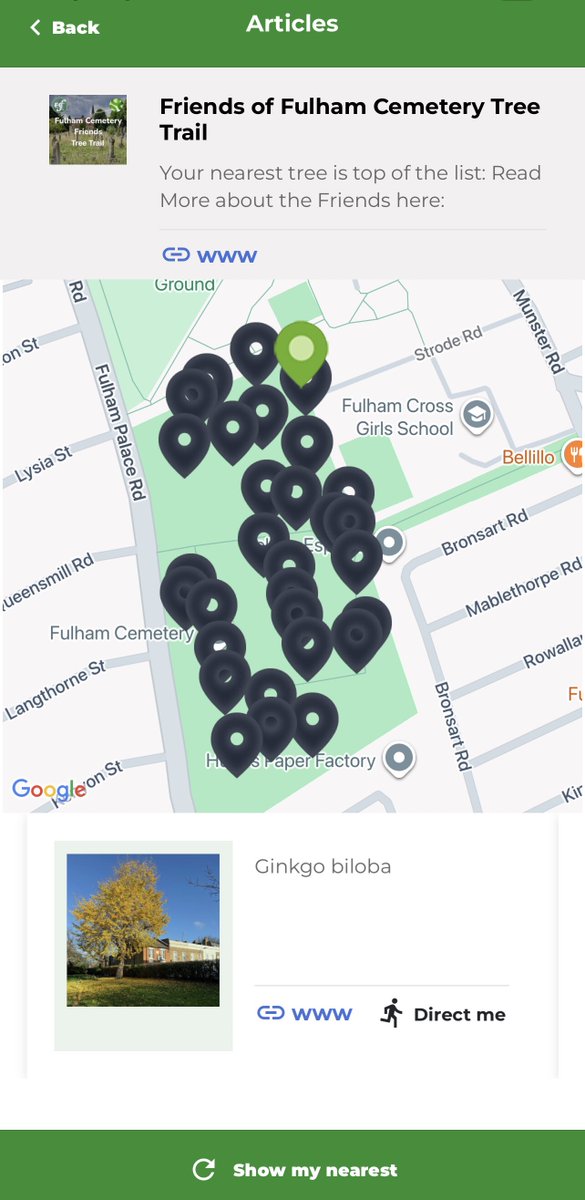 TiCLme's tweet image. I struck #ginkgo #gold on the Friends #treetrail at Fulham Cemetery yesterday

You’ll find it too with TiCL View

ticl.me/friends-of-ful…

#ginkgogold #ginkgobiloba