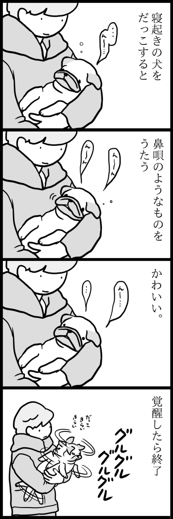 ほかほかの犬を抱っこする 