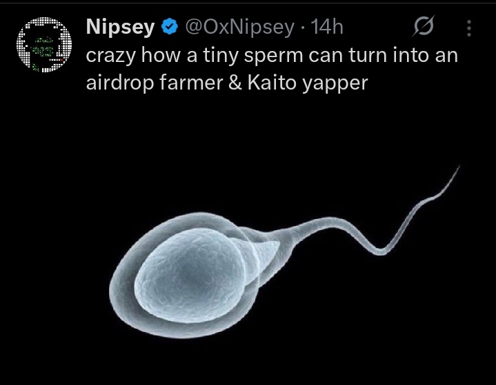 web3wiz284's tweet image. GM and happy new day CT