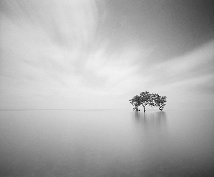 analog_fine_art's tweet image. huddle by Stuart Williams