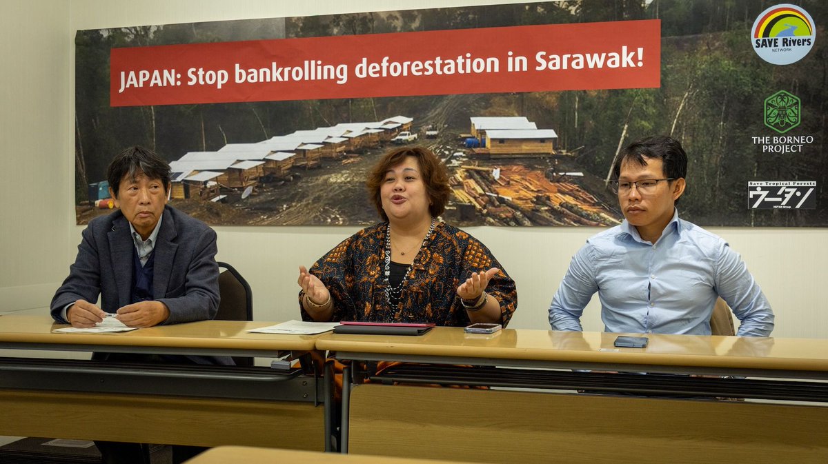 Bruno Manser Fonds tweet media