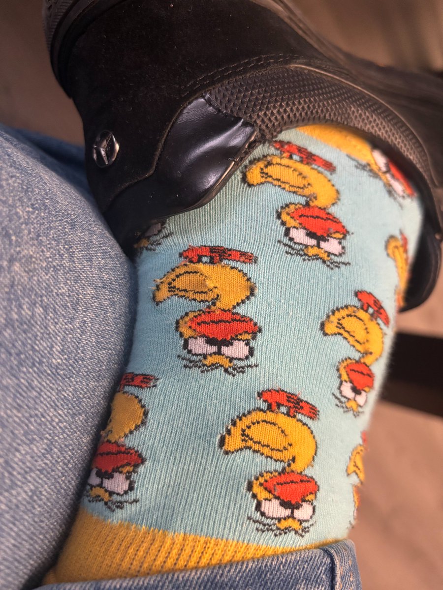 niki_todorov's tweet photo. Понеже рубриката си има фенове и ме подсещат, а и днес си е само за патита навън 😂 #crazysocks https://t.co/zXsEVcVVxY