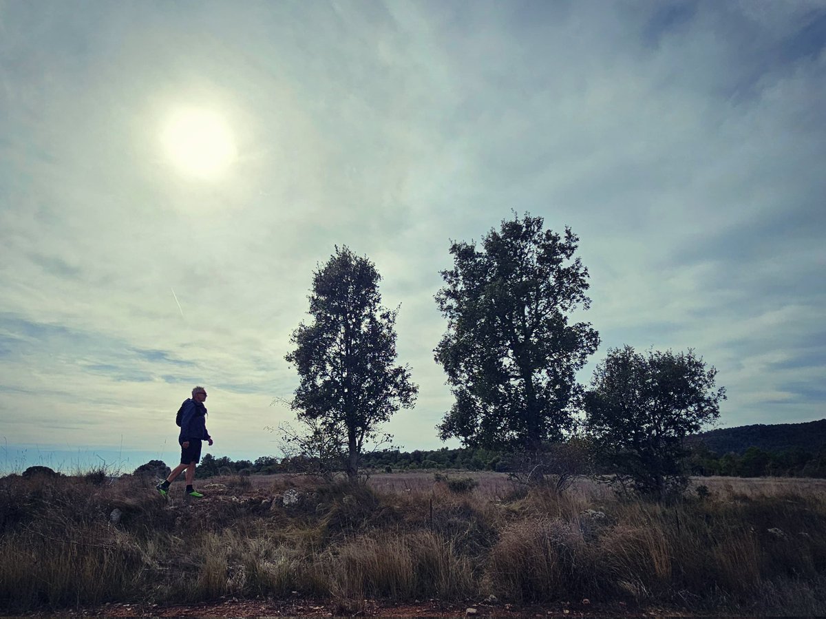 El Rei Lear li va preguntar al noble Gloucester:
- I tu, com pots veure el món?
Gloucester, que era cec, li va respondre:
- El veig amb els sentiments.
(William Shakespeare)

#caminsambhistoria #concadebarbera #muntanyesdeprades #tardor #boira #celsdetardor #matinsdetardor