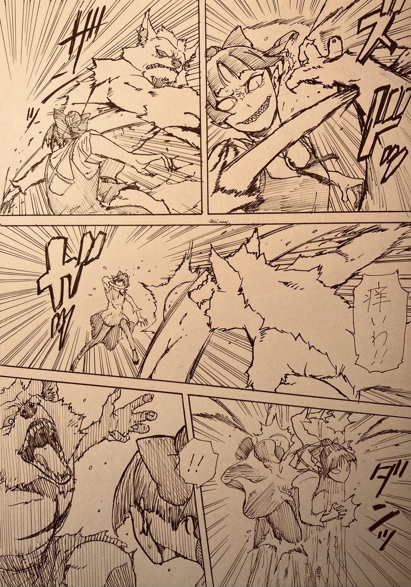 野良猫vs野良犬(1/2) 
