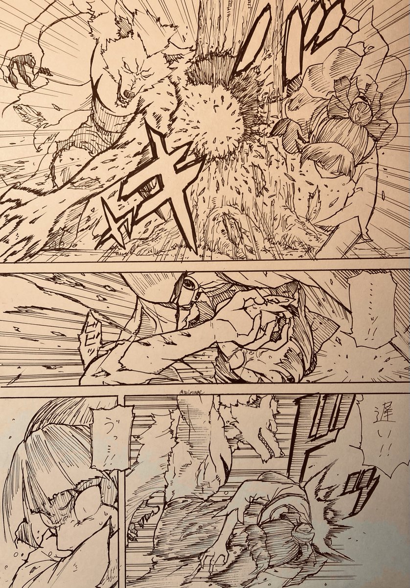 野良猫vs野良犬(1/2) 