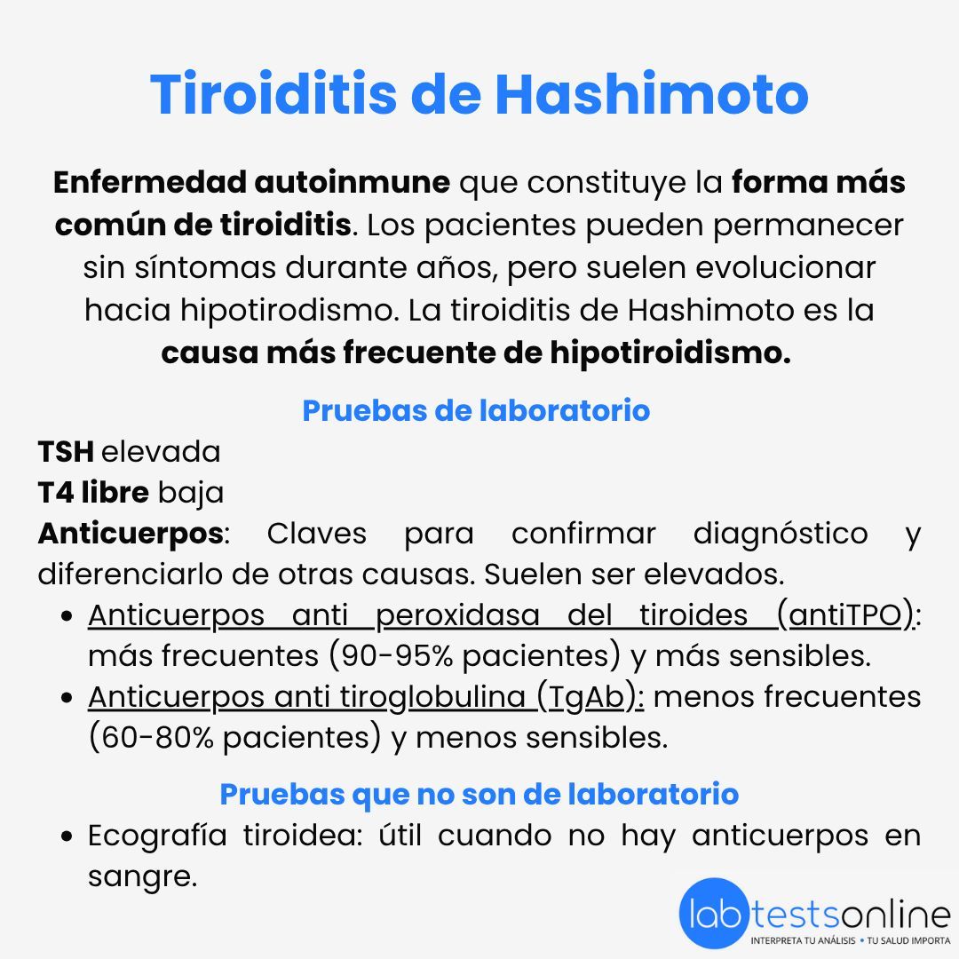 LabTestsES's tweet photo. ¿Sabías que la tiroiditis de Hashimoto es la forma más común de inflamación del tiroides y la principal causa de hipotiroidismo? Descubre cómo las pruebas de laboratorio ayudan a su diagnóstico y seguimiento en nuestra página web 🌐https://t.co/LTwMCC01pq https://t.co/0Mx3Ae4pU2