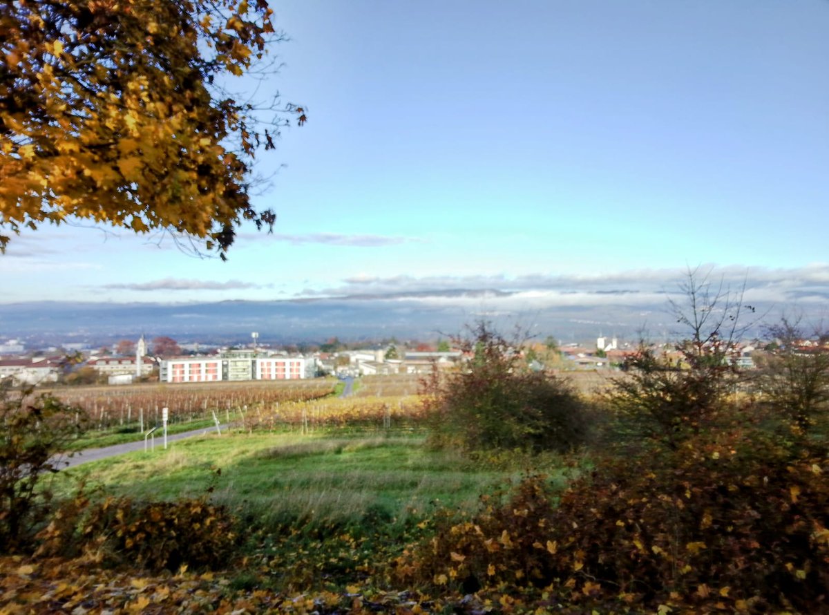 Guten Morgen meine lieben,war das eine anstrengende Nacht. Ich habe auf Englisch geträumt 🙄.
Prompt bin ich mit Kopfschmerzen wach geworden 😂
Euch wünsche ich einen tollen Dienstag 🥰