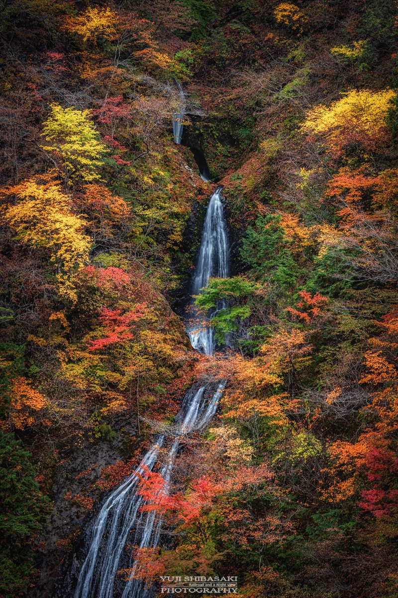 Yuji_48's tweet image. 埼玉県で唯一「日本の滝百選」に選ばれている、小鹿野町の丸神の滝が魅せる紅葉の錦。