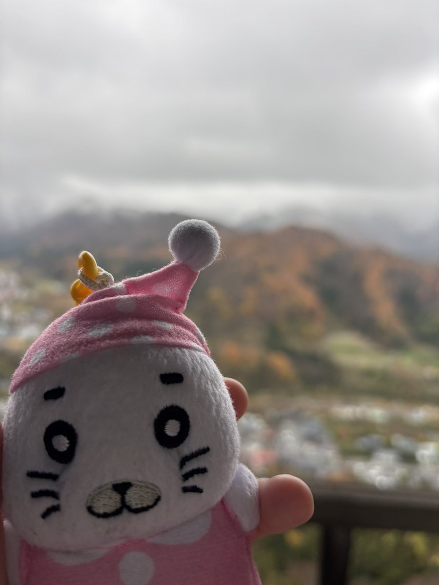 ゴマちゃん (@gomachan_net) / Posts / X