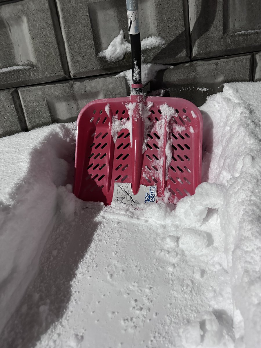 Attention_rk_Yo's tweet image. ﾋﾞｬｧ