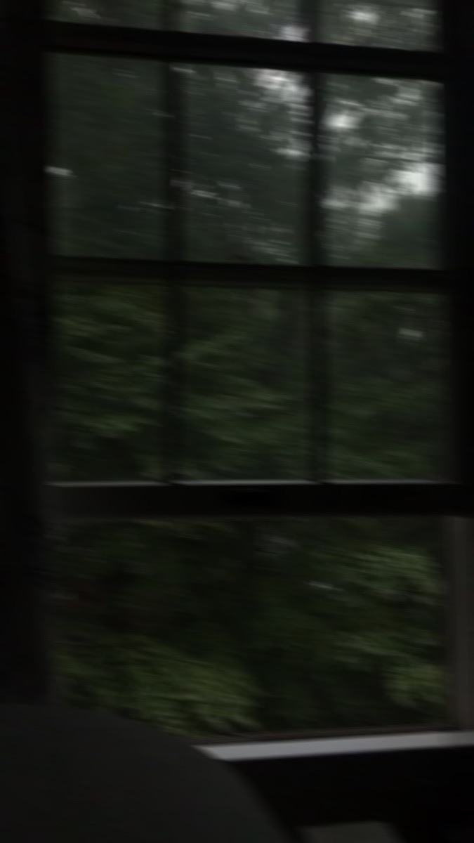 🪴💉: Dolor de cabeza, mareos, visión borrosa, el cuerpo pesado... No quería dejar esa sala de hospital. Le hice caso  porque no era el momento, la verdad. Si que está última semana ha sido horrible, pero tengo que estar por ellos. Es egoísta pensar en mi ahora.
#LifeOfFarce #LOF