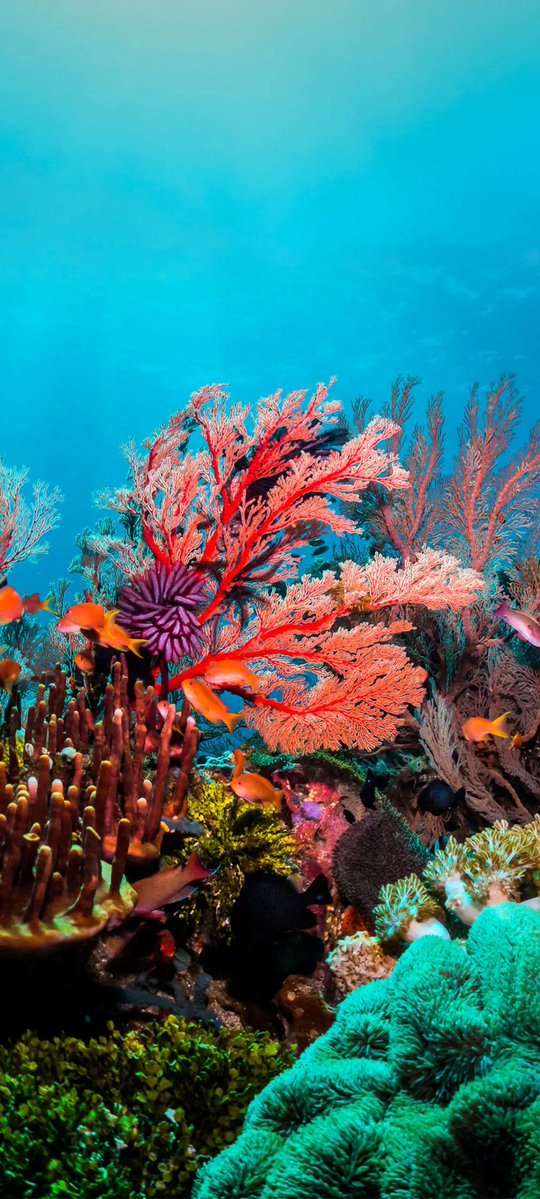 MARIO (@misterx42452664) on Twitter photo 