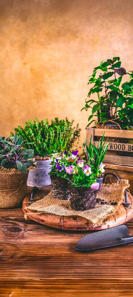 MARIO (@misterx42452664) on Twitter photo 