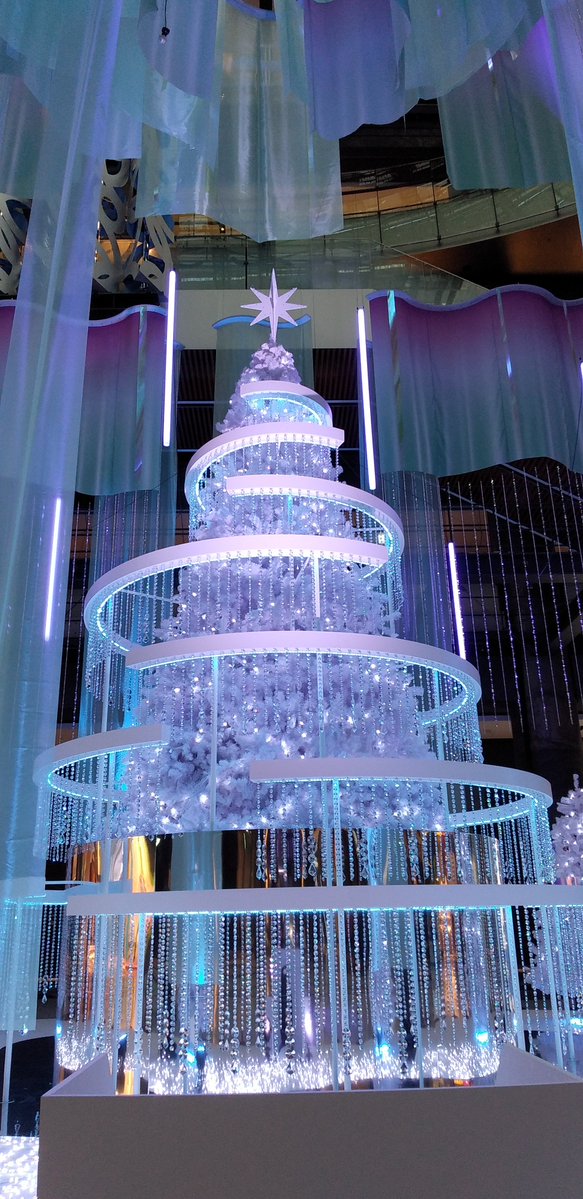 今日は朝の仕事だけで
昼からゆっくりするつもりが
皮膚科の予約日で、その
皮膚科から午後が都合で休診
との連絡があり12:20迄ならOKとの事で仕事着のまま向かったら午後の予約客皆待ってた💦
経過は良好でひと安心😌
続きで買い物へ🚲💨
今夜は豚汁😋

＃ツリーツイートの数だけ
幸せがやってくる