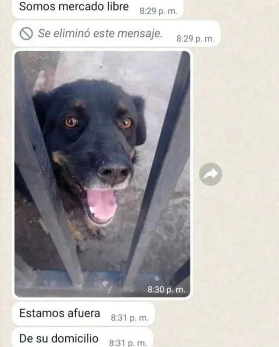Cursed Images Argentina (@cursed_arg) on Twitter photo 