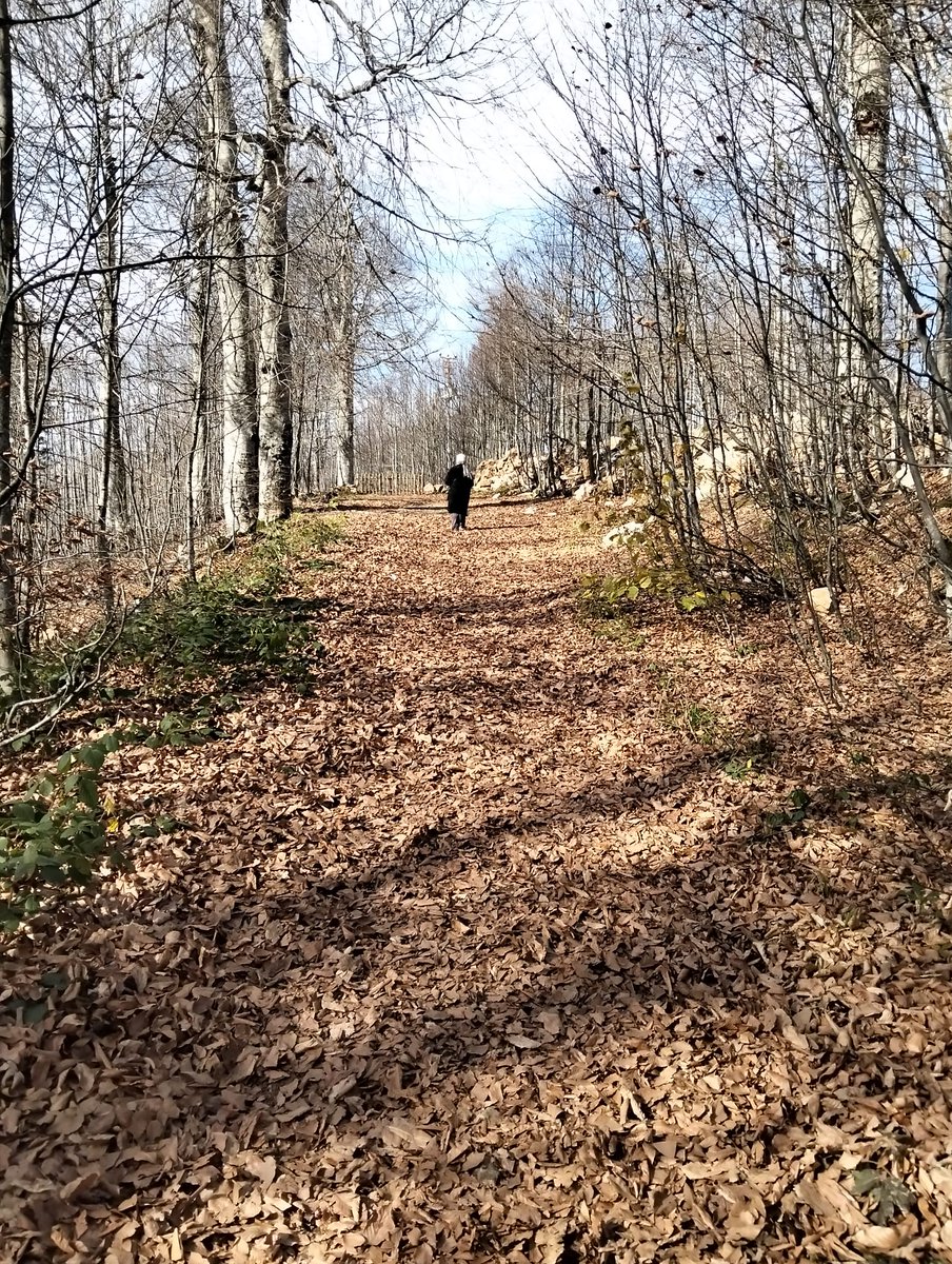 Diyoruz ki:
Zaman çok çabuk geçiyor..
Mevsim kış yapraklar gazel.  
Şair de Diyor ki:
Zaman değil de, İnsan geçiyor gibi... 🍂🍁