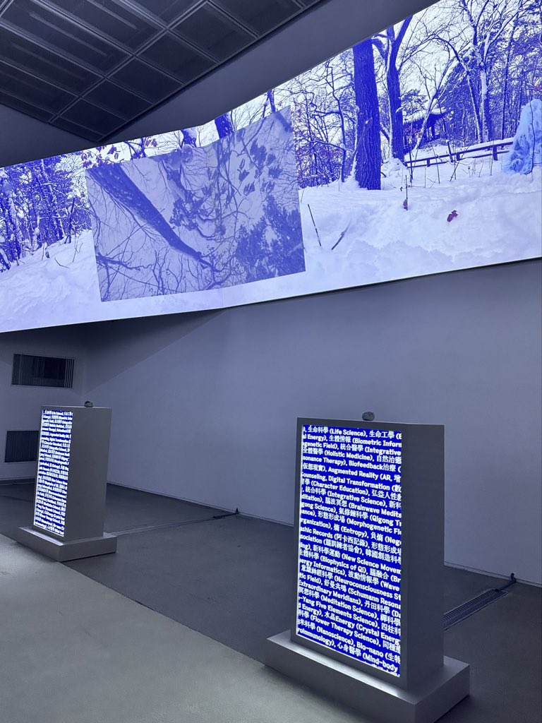 b_oooookiee's tweet image. 국현미 올작상 보고왔는데
임영주 작가님 작업 진쩌 너무너무너무… 좋았다
미디어 작업물 오래 못보는 병 있는데
한 30분동안 자리에서 못 떠남