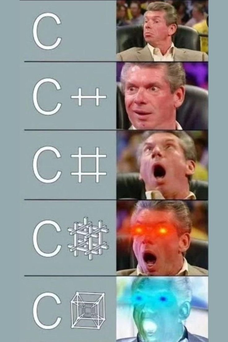 FabriceNEYRET's tweet image. Don't stop at C++.