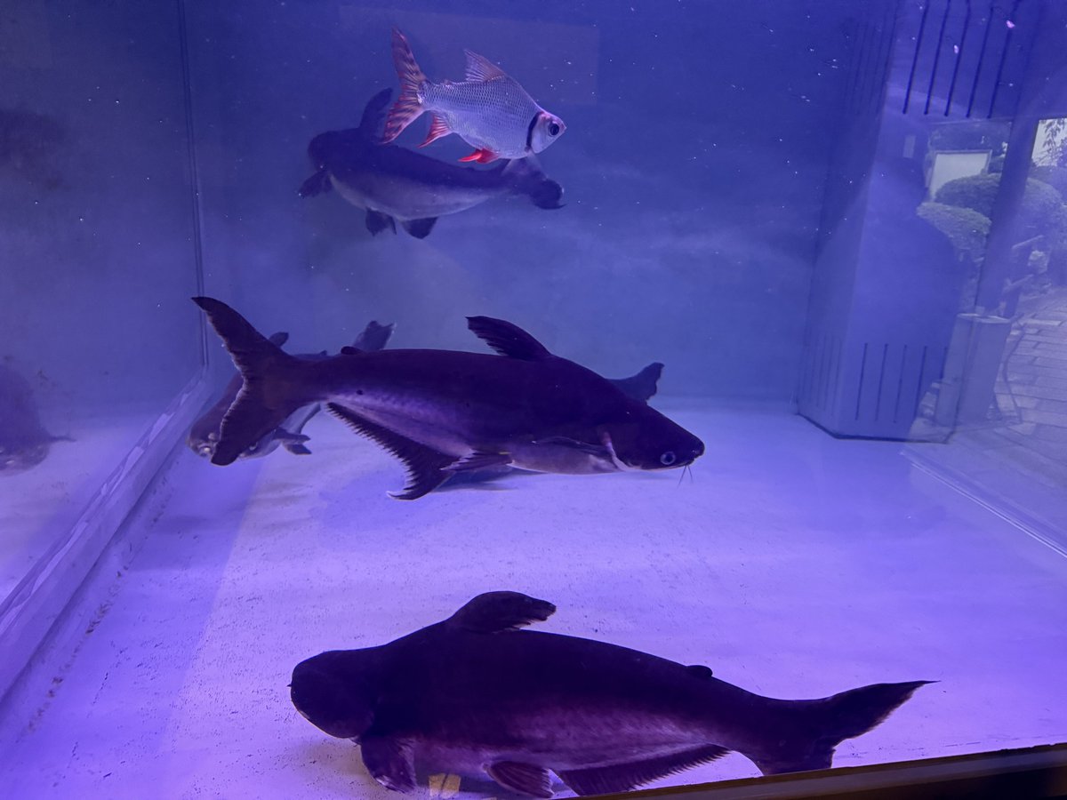 Michael Grönert tweet media