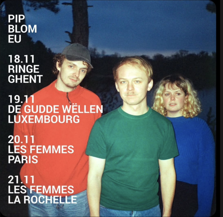 Pip tweet media