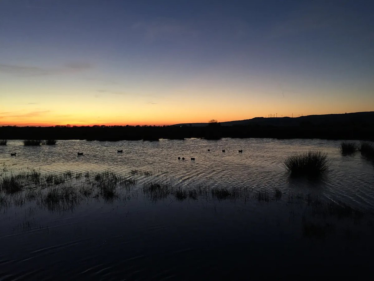 Simon Hart tweet media