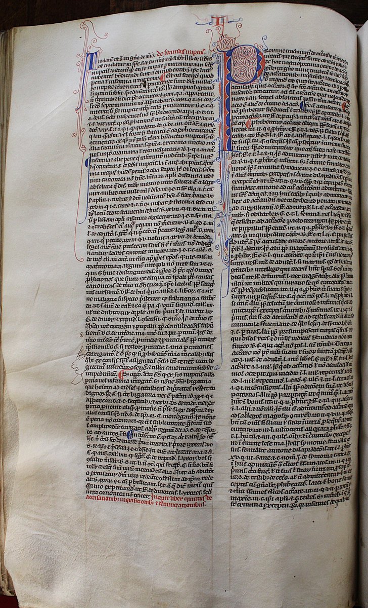 Librarian tweet media