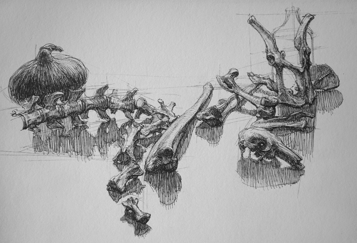 For the nerds.
Currently going through my archives &amp; have started to add images to the website.

New Sketchbook section, with many drawings from my time at Hill End between 2018-25. Almost all of these are NOT published in the recent book.

rwdaffurn.com/archive-sketch…