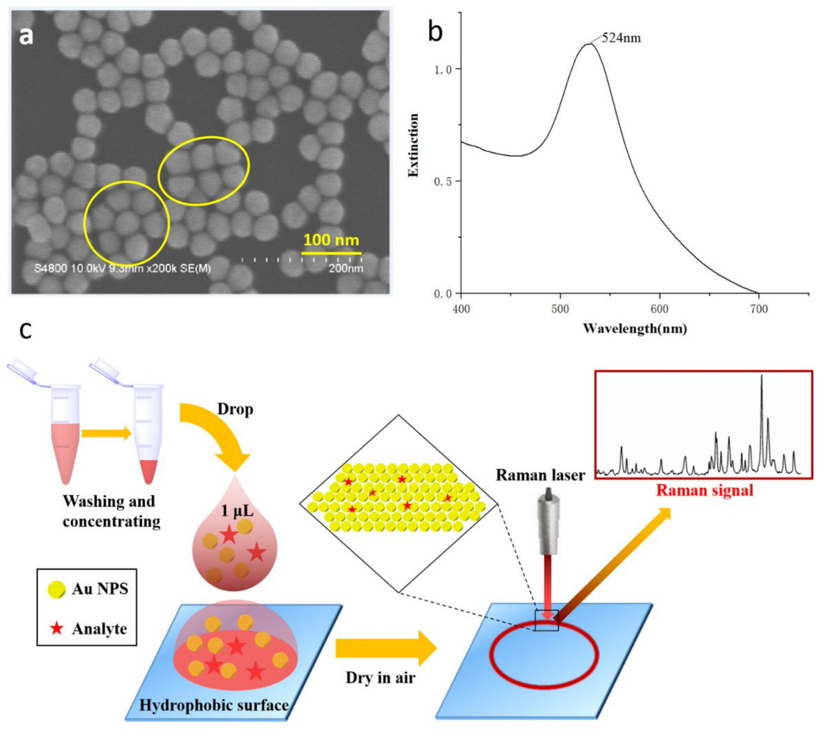 chemosens_MDPI's tweet image. #Article
“Coffee Ring” Fabrication and Its Application in Aflatoxin Detection Based on SERS by Xuesong Yan, et al.
doi.org/10.3390/chemos…

@MDPIOpenAccess @CAS__Science 
#coffeeringeffect #surfaceenhancedRamanscattering #aflatoxinB1detection