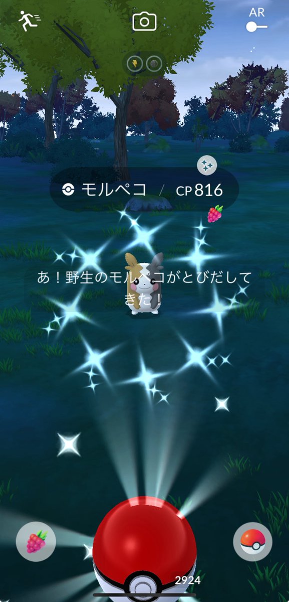 モルペコ