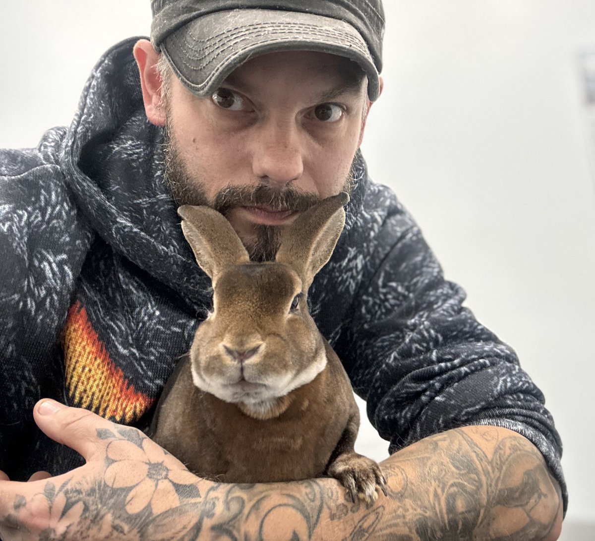 barratt_Daisy's tweet image. 🎉 Happy Birthday, Chris! 🎉
@chrisbunnyguy @carrotcottagerr 
Running the rabbit rescue wouldn’t be possible without you. Truly — we couldn’t do any of this without your heart, your strength, and your endless love for every single bun that comes through our doors.

You’re the…