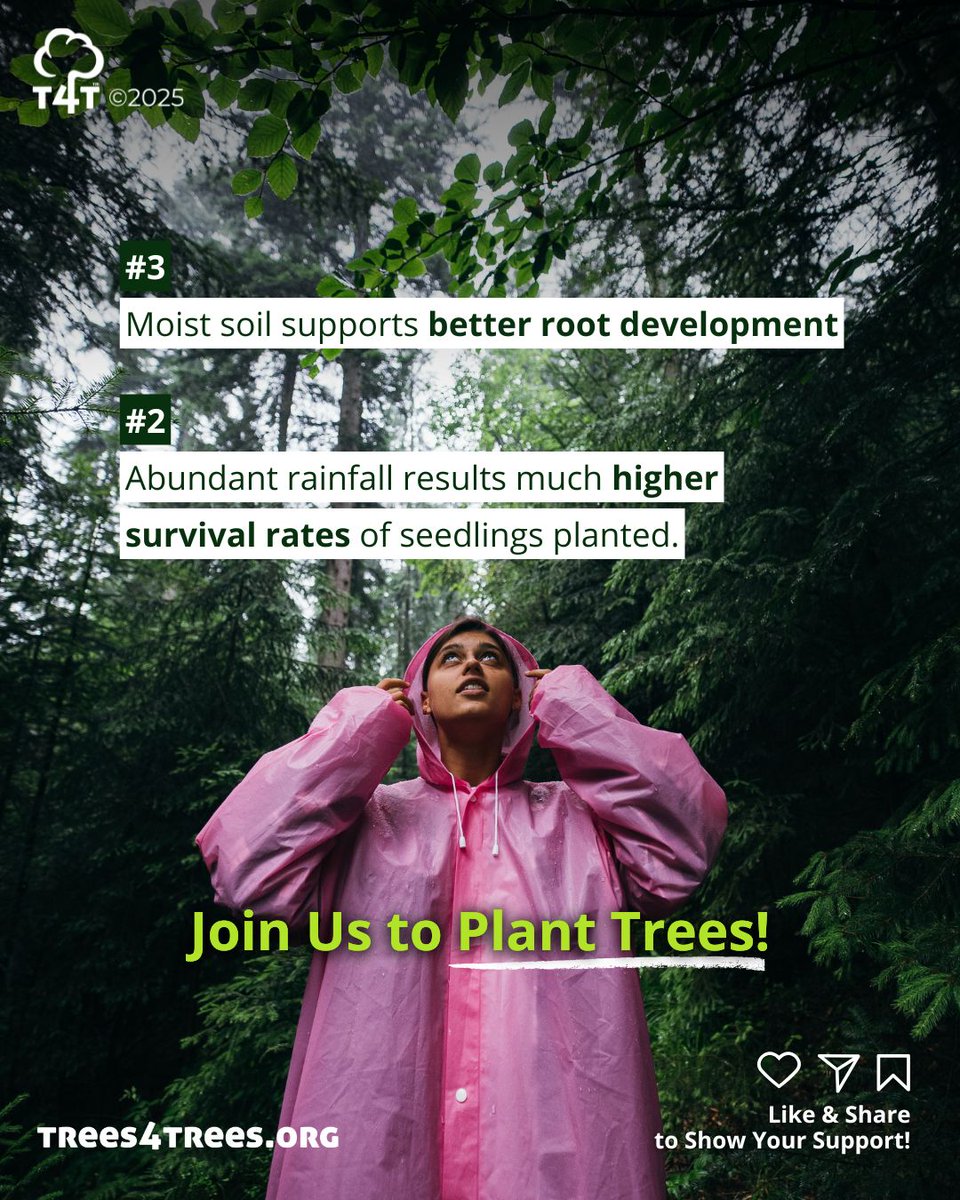 Three Tuesdays to Giving Tuesday!🙌
Our planet is facing environmental pressures we can no longer ignore, because this is the only home we have.

This Giving Tuesday, help our Earth green again by joining our campaign.🌱🌱

Let’s give back to the planet that gives us everything.