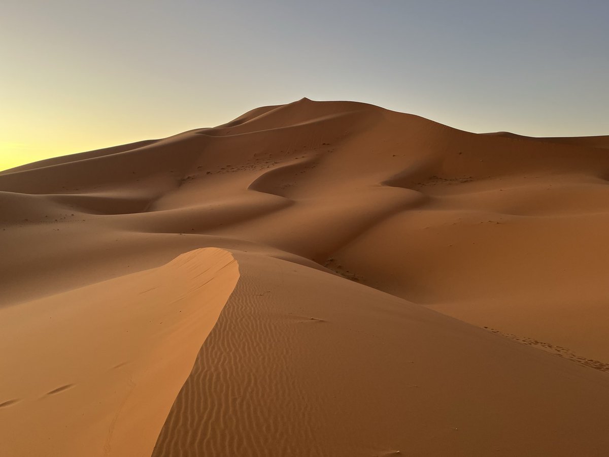 AidenLBailey's tweet photo. Here I am in the #Sahara at Erg Chebbi in #Morocco near the Algeria border which are 150m high. The Sahara was where #TriggerMan started in Book 1. https://t.co/kLgwbOeqdL