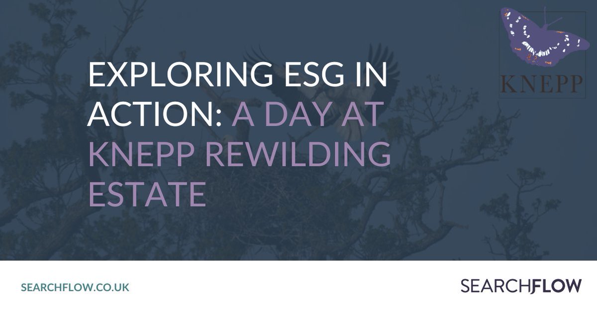 A group of legal professionals joined SearchFlow for an ESG-focused day at the Knepp Rewilding Estate in West Sussex.🌱 We explored the evolving #ESG agenda, with a focus on biodiversity, climate change, &amp; challenges facing the legal sector.
Read the blog: hubs.la/Q03T1vJV0