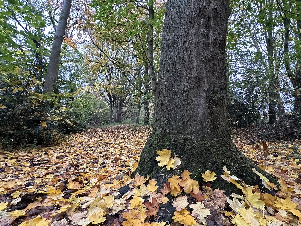 Jay Up North tweet media