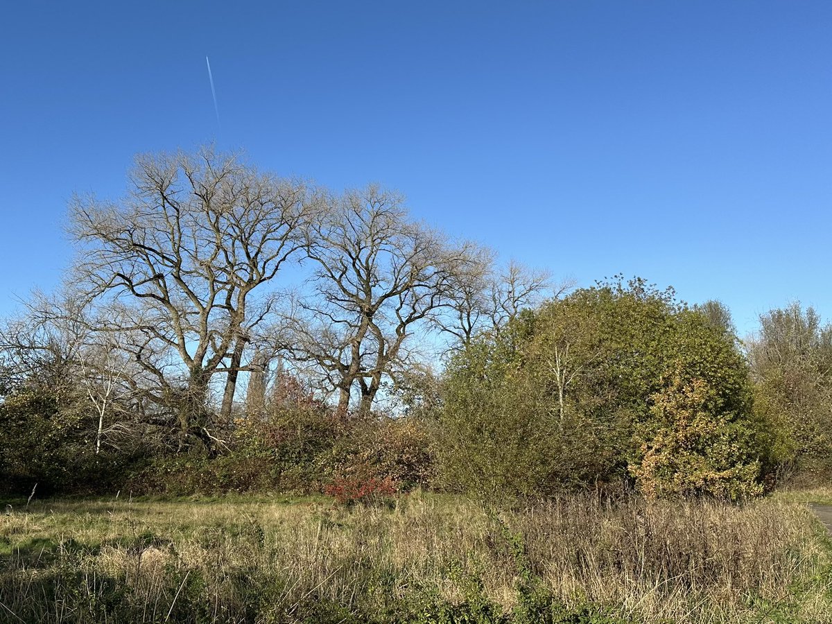 Jay Up North tweet media