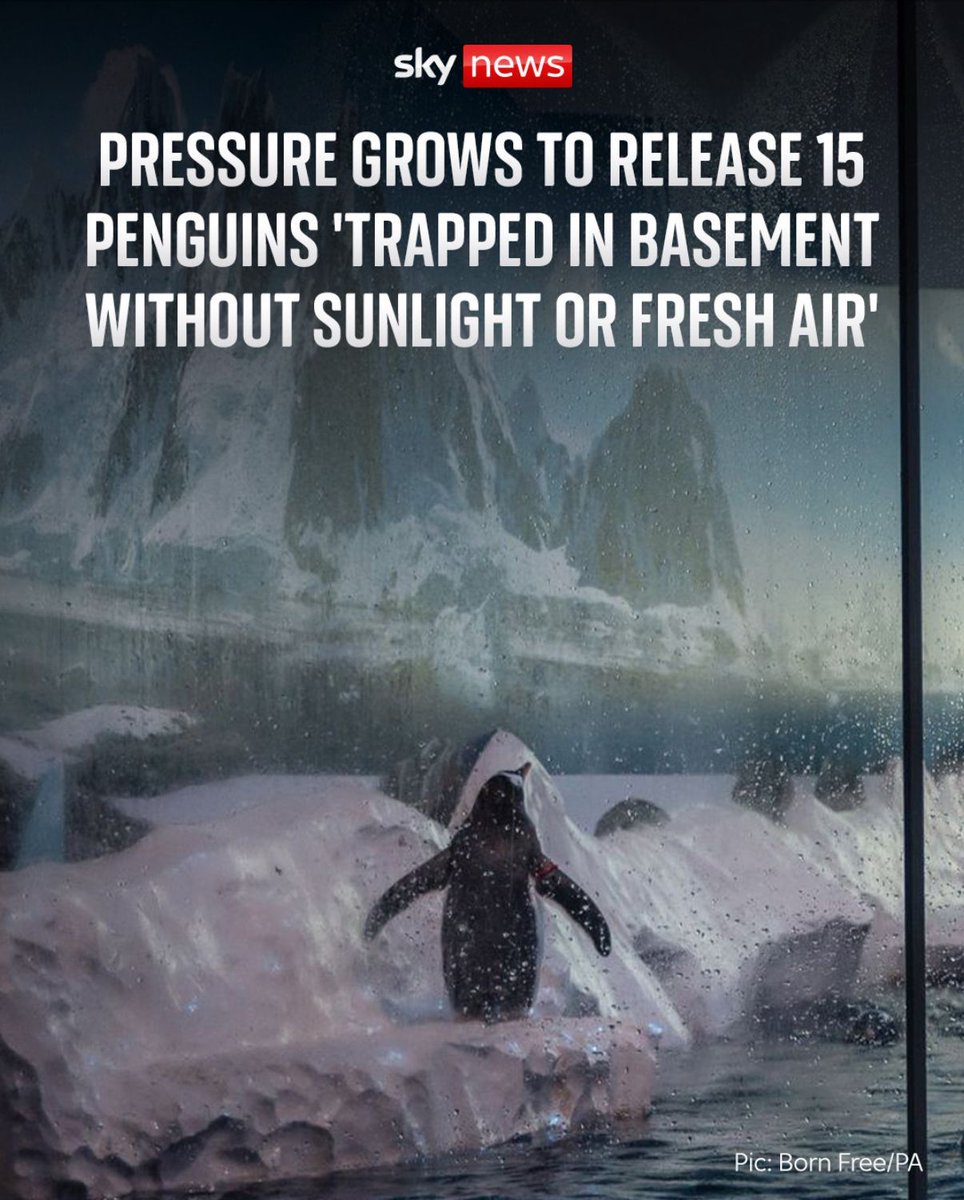 Protect the Wild tweet media