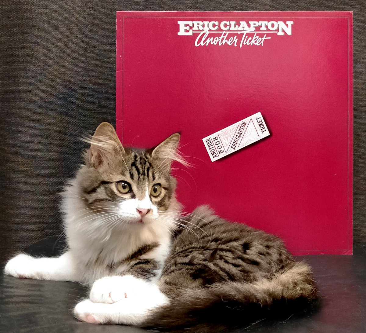 猫とレコード エリック・クラプトン『アナザー・チケット』(1981