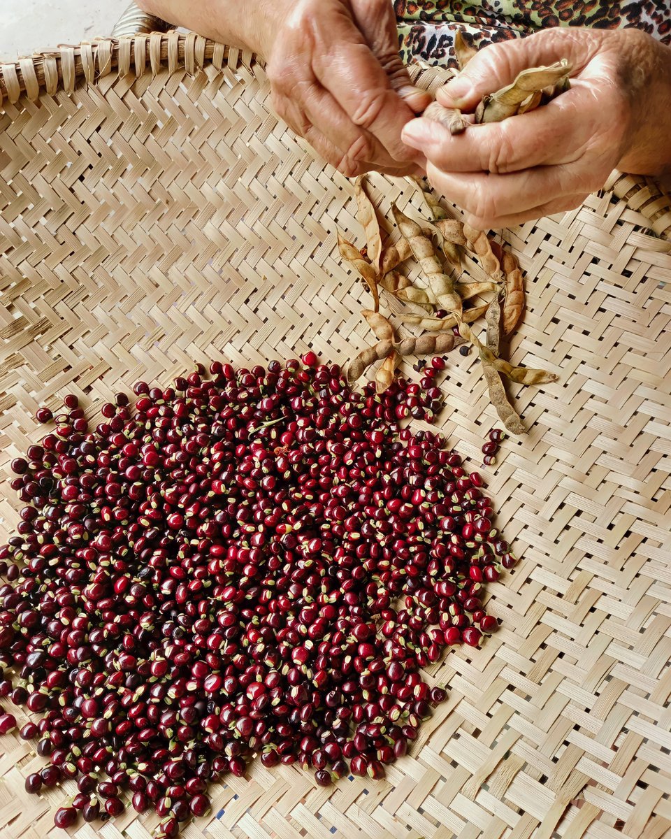 SuperUnide's tweet image. 🫘 Las legumbres secas conservan su sabor si se guardan en un bote cerrado con una hoja de laurel dentro. Ayuda a mantener alejados los insectos.

📍 unide-mirasierraclarin.es

#almacenaje #legumbre #unide