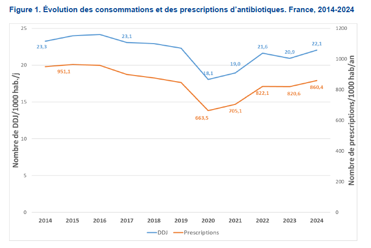 nicolasberrod's tweet image. 💊 La consommation d&apos;antibiotiques repart à la hausse et retrouve quasiment les niveaux pré-#Covid.

860 prescriptions pour 1 000 habitants en ville l&apos;année dernière, en hausse de 4,8% par rapport à 2023.

Et 40% de la population a reçu au moins une prescription sur l&apos;année.

1/6