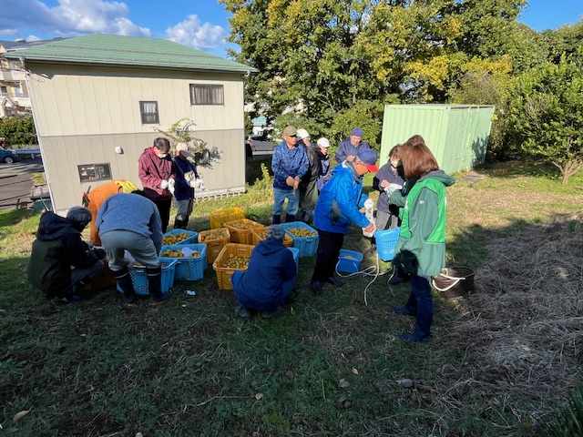 長女です🌈

#ダイナム 糸魚川店<a href="/dynam_00051/">ダイナム糸魚川店</a> が自治会の皆様と一緒に「上刈みかん」の収穫ボランティアに参加しました🍊✨