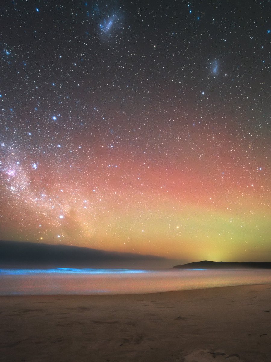 Haru_koala's tweet image. オーロラが出た夜(11/12)、タイムラプス用に撮ってた画像を見返したら、海に夜光虫が写ってた！いつか天の川と夜光虫を一緒に撮りたいと思ってたけど、まさか（冬の）天の川+夜光虫＋オーロラが同時に撮れるとは思わなかったわ。